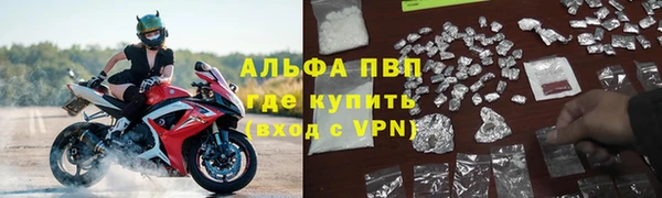 амф Арсеньев