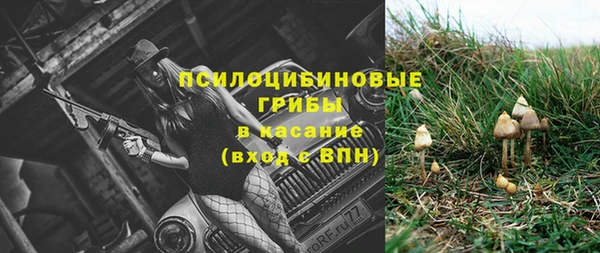 прущие грибы Алзамай