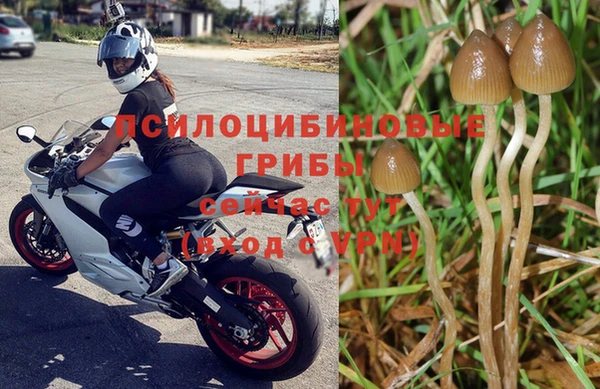 амф Арсеньев