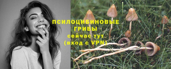 ECSTASY Аркадак