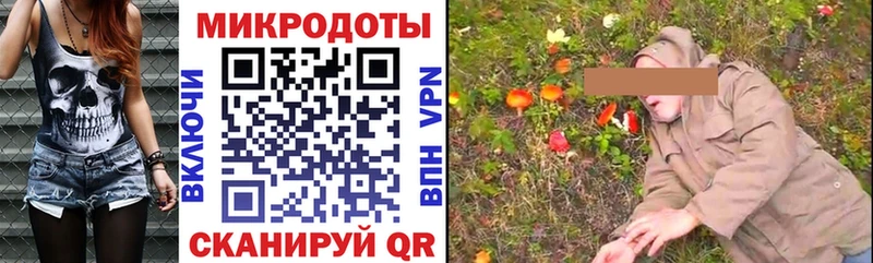 Галлюциногенные грибы Psilocybe  купить закладку  kraken ONION  Чапаевск 